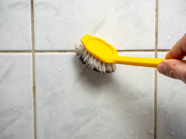 Professional Mold Removal in Summerfield, NC
