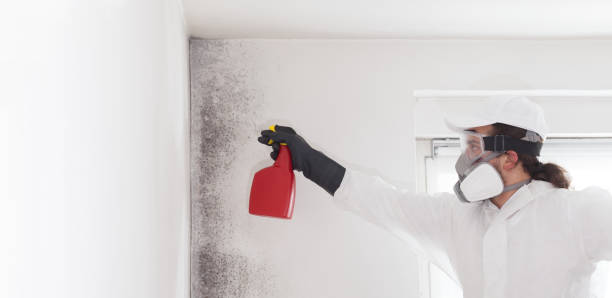 Best Crawl Space Mold Removal  in Summerfield, NC