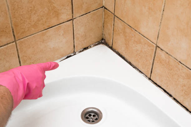 Best Local Mold Removal Service  in Summerfield, NC